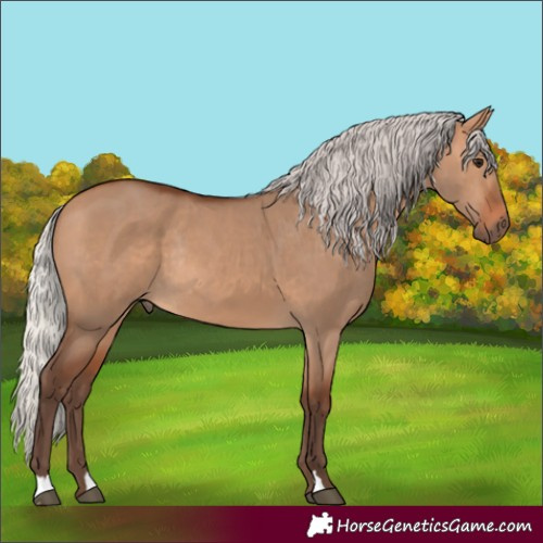 Horse Color:Silver Bay Dun Rabicano