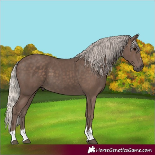 Horse Color:Silver Black 