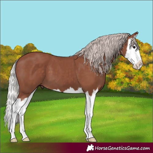 Horse Color:Chocolate Silver Black Splash 