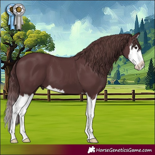 Horse Color:Chocolate Black Splash