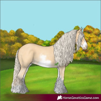 Horse Color:White Spotted Palomino Sabino Frame