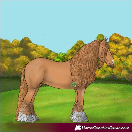 Horse Color:Chestnut 
