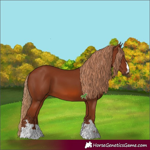 Horse Color:Chestnut 