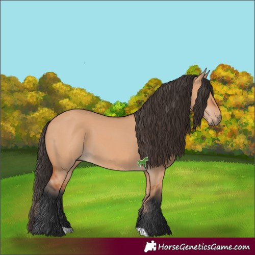Horse Color:Bay Dun 