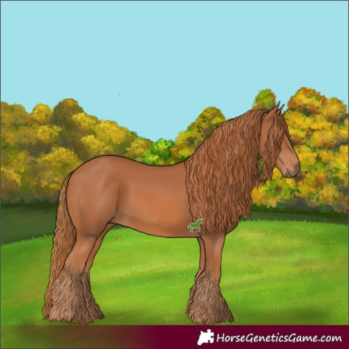 Horse Color:Chestnut 