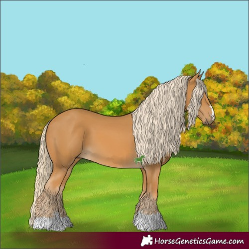 Horse Color:Palomino 