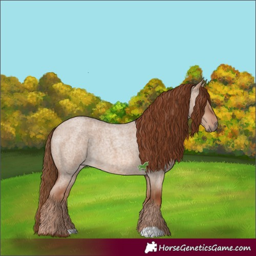 Horse Color:Red Dun Roan 
