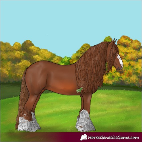 Horse Color:Chestnut 