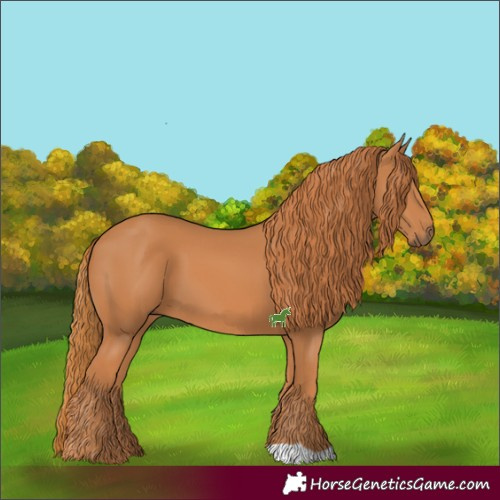 Horse Color:Chestnut 