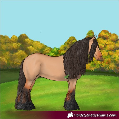 Horse Color:Bay Dun 