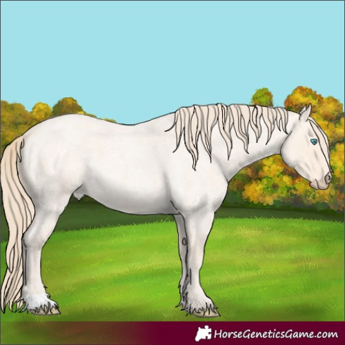 Horse Color:Perlino Roan 