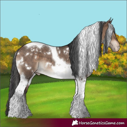 Horse Color:White Spotted Brown Dun Tobiano Appaloosa 