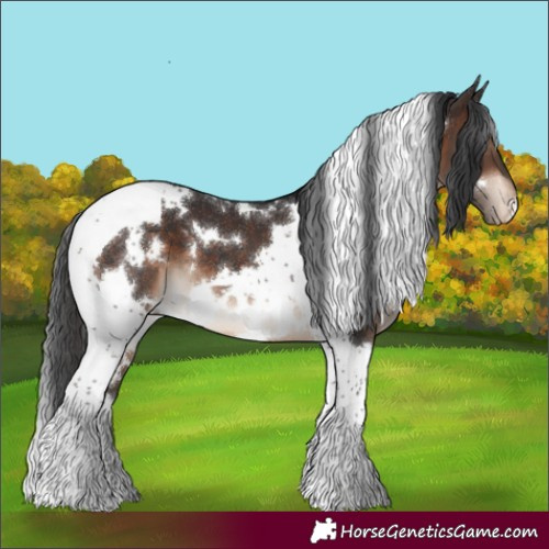 Horse Color:White Spotted Brown Tobiano Appaloosa 