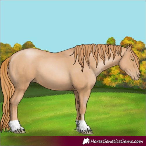 Horse Color:Chestnut Pearl 