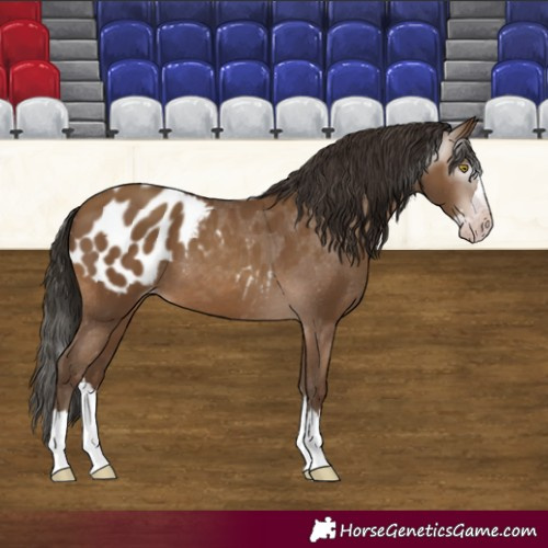 Horse Color:Gray Amber Champagne Splash Blanket