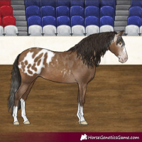 Horse Color:Gray Amber Champagne Splash Blanket 
