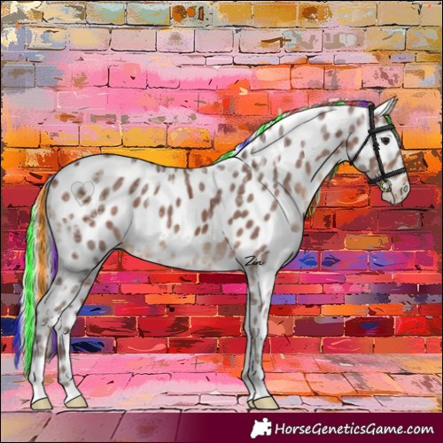 Horse Color:Painted Silver Brown Ice Appaloosa Rabicano 