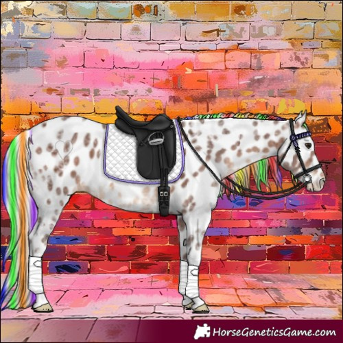 Horse Color:Painted Silver Brown Ice Appaloosa Rabicano 