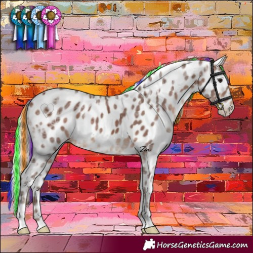 Horse Color:Painted Silver Brown Ice Leopard Rabicano 