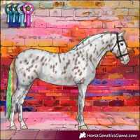 Horse Color:Painted Silver Brown Ice Leopard Rabicano 