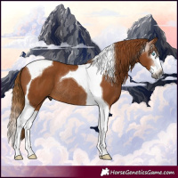 Horse Color:Gray Chestnut Splash Tobiano Rabicano