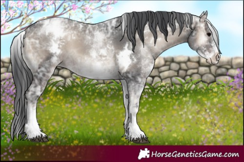 Horse Color:White Spotted Blue Onyx Ice