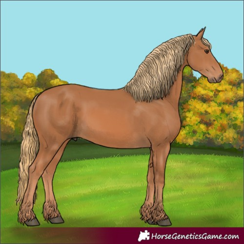 Horse Color:Unknown 