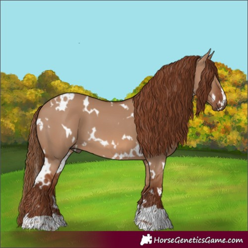 Horse Color:White Spotted Red Dun