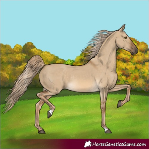 Horse Color:Chocolate Palomino Dun Rabicano