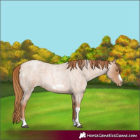 Horse Color:Red Roan Pearl Tobiano Frame 