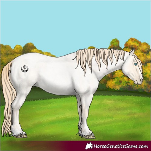 Horse Color:Buckskin Roan Pearl  and Buckskin Roan Pearl 