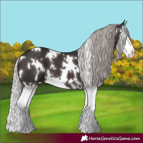 Horse Color:White Spotted Silver Brown Splash 
