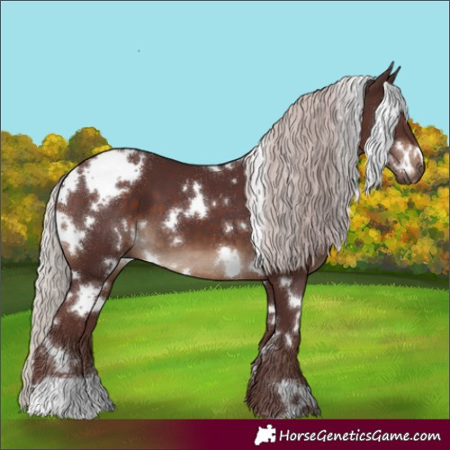 Horse Color:White Spotted Chocolate Silver Brown