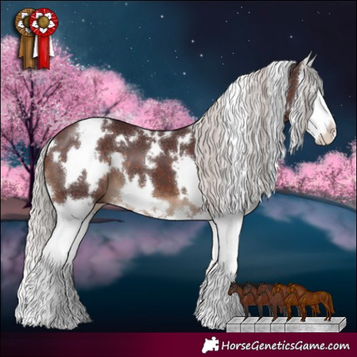 Horse Color:White Spotted Chocolate Silver Brown Splash