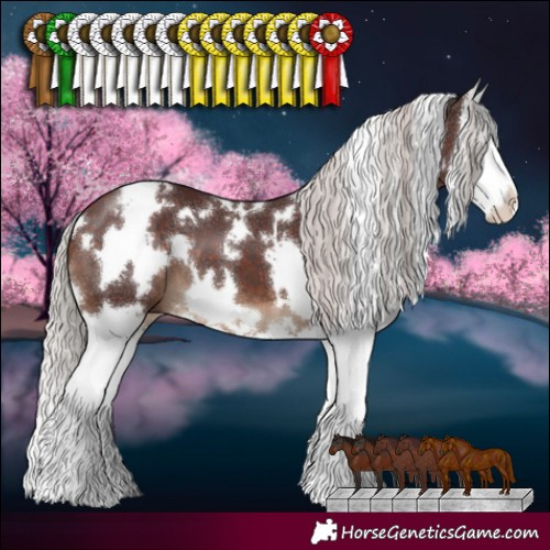 Horse Color:White Spotted Chocolate Silver Brown Splash 