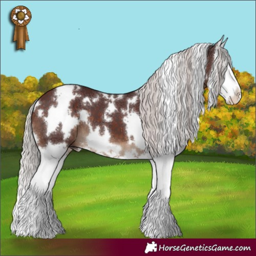 Horse Color:White Spotted Chocolate Silver Brown Splash 