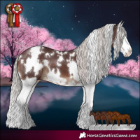 Horse Color:White Spotted Chocolate Silver Brown Splash 