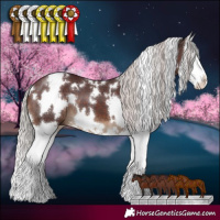 Horse Color:White Spotted Chocolate Silver Brown Splash 