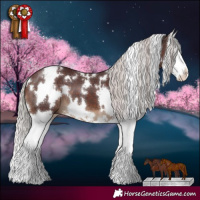 Horse Color:White Spotted Chocolate Silver Brown Splash