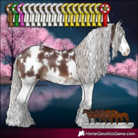 Horse Color:White Spotted Chocolate Silver Brown Splash 