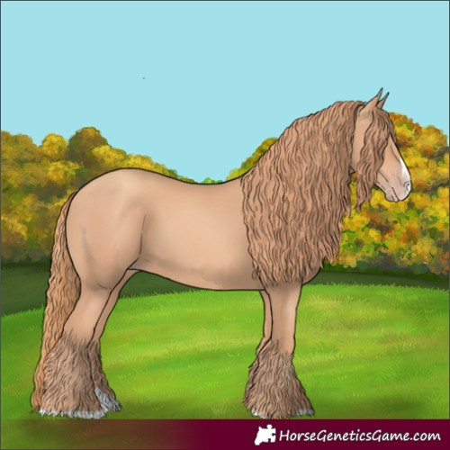 Horse Color:Gold Champagne Splash 