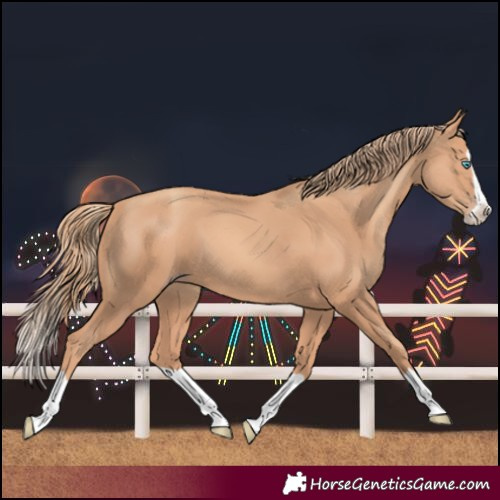 Horse Color:Gold Champagne Splash 