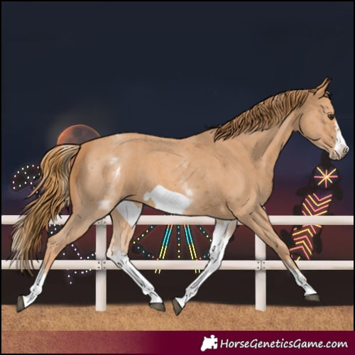 Horse Color:White Spotted Chestnut Sabino Frame 