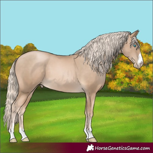 Horse Color:Chocolate Palomino Pearl 