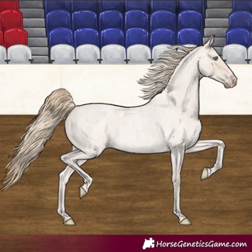 Horse Color:Smoky Creme Roan 