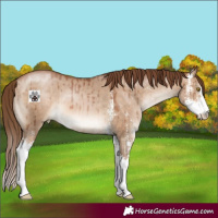 Horse Color:Brown Pearl Dun Sabino Brindle