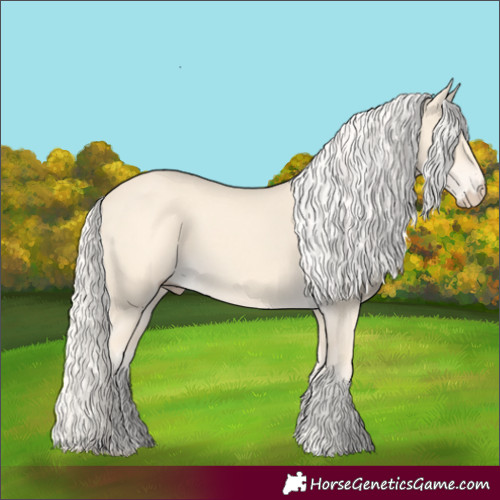 Horse Color:Cremello 