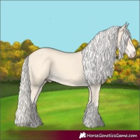 Horse Color:Cremello 