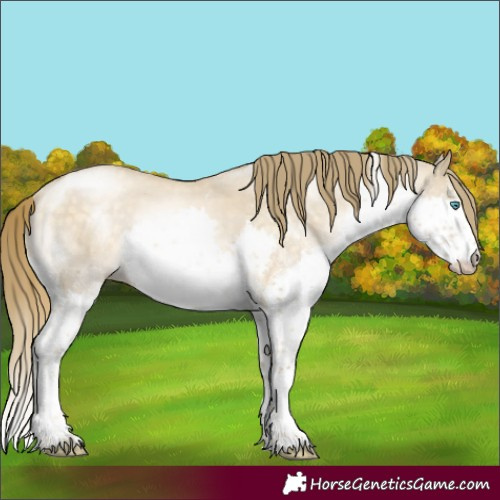 Horse Color:White Spotted Brown Snowdrop Pearl Dun Splash Tobiano Rabicano 