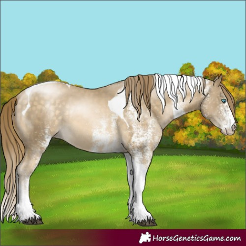 Horse Color:White Spotted Brown Snowdrop Pearl Tobiano Rabicano